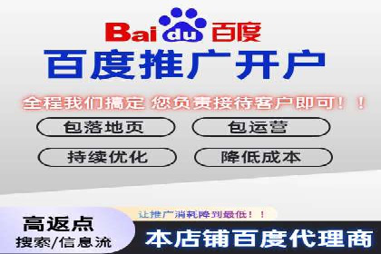 竞价广告投放技巧与案例分析